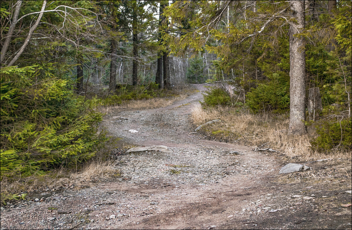 *  *  * - Андрей Бобин