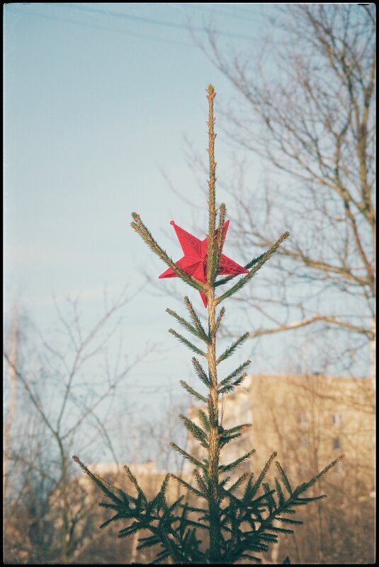 С сегодняшней прогулки... - Руслан 