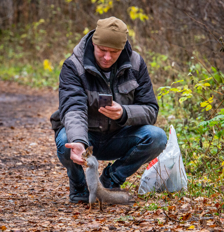 Белка попрошайка - Андрей 