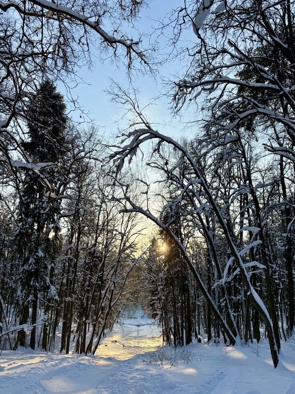 зимний день - Сергей Б.