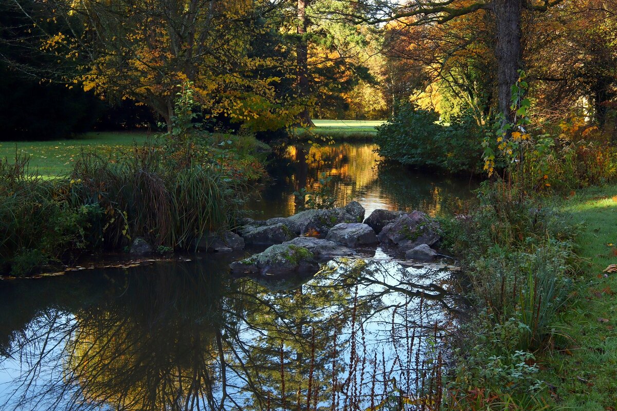 Пруд - Юрий. Шмаков