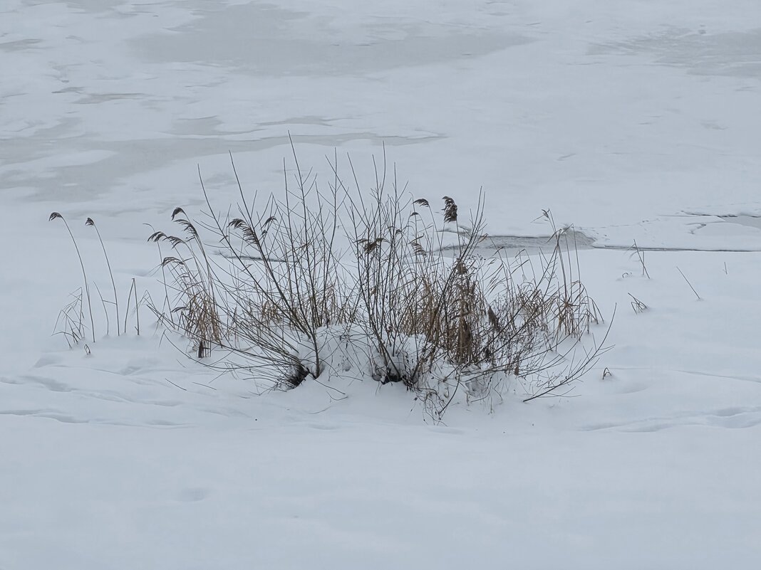 Стойкость! - Olga Oskolkova