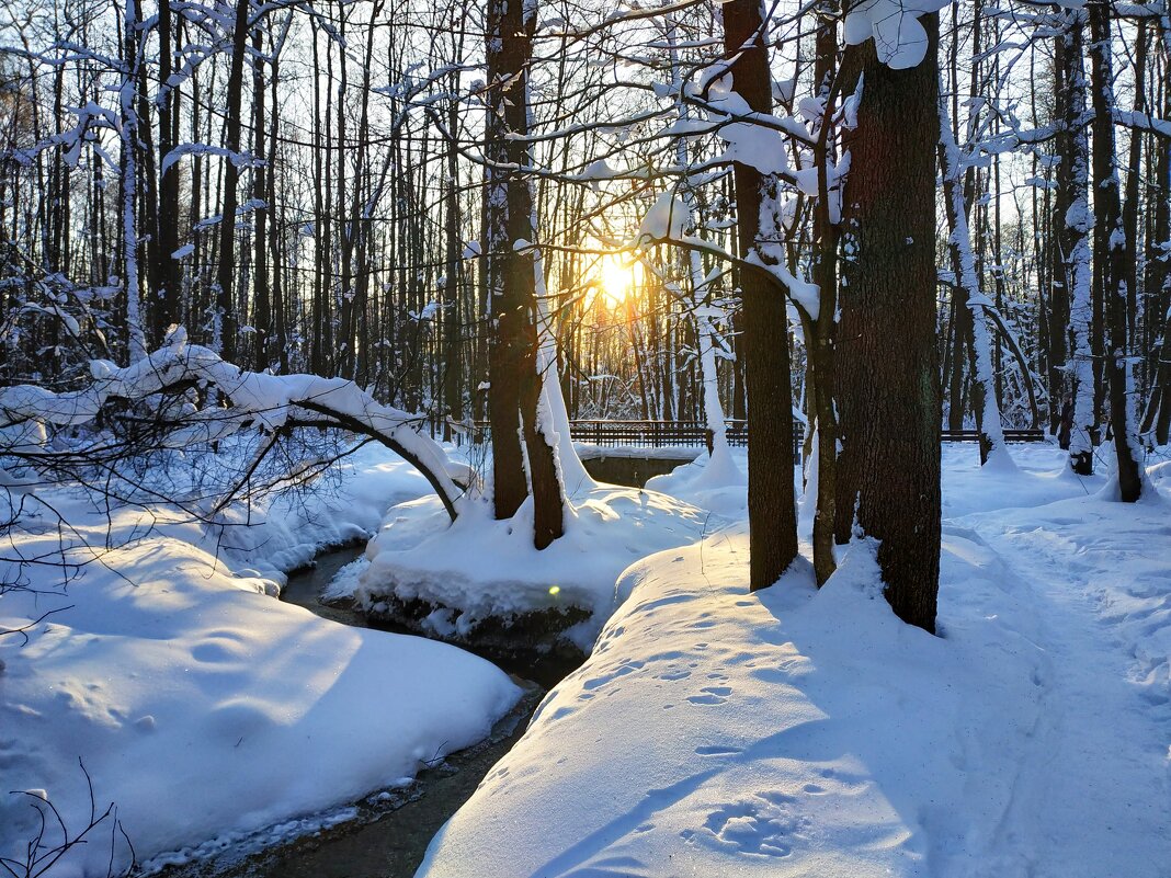 мой Крещенский сочельник - Андрей Лукьянов