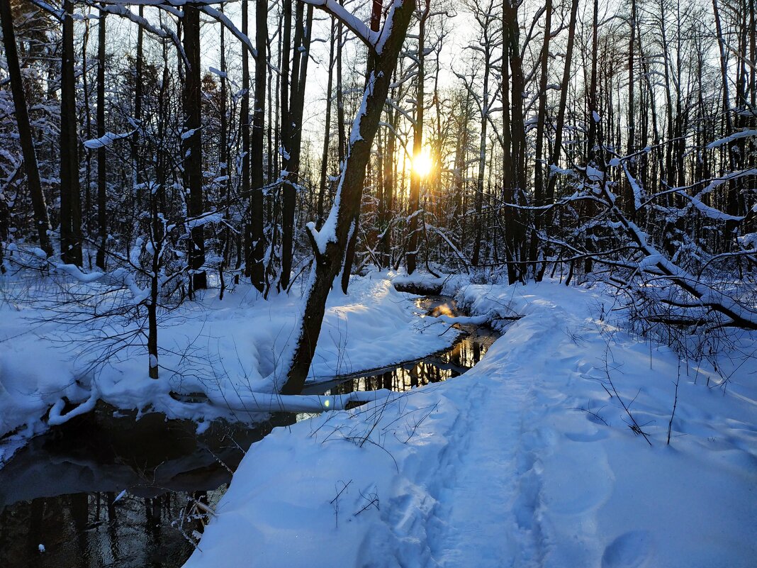 Крещенский сочельник - Андрей Лукьянов