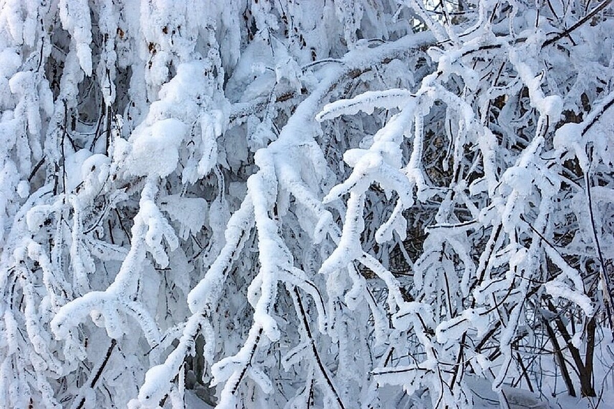В Крещенские морозы - Галина Нестратова