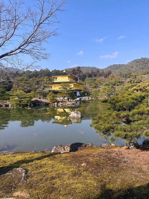 Тишина - Георгиевич 