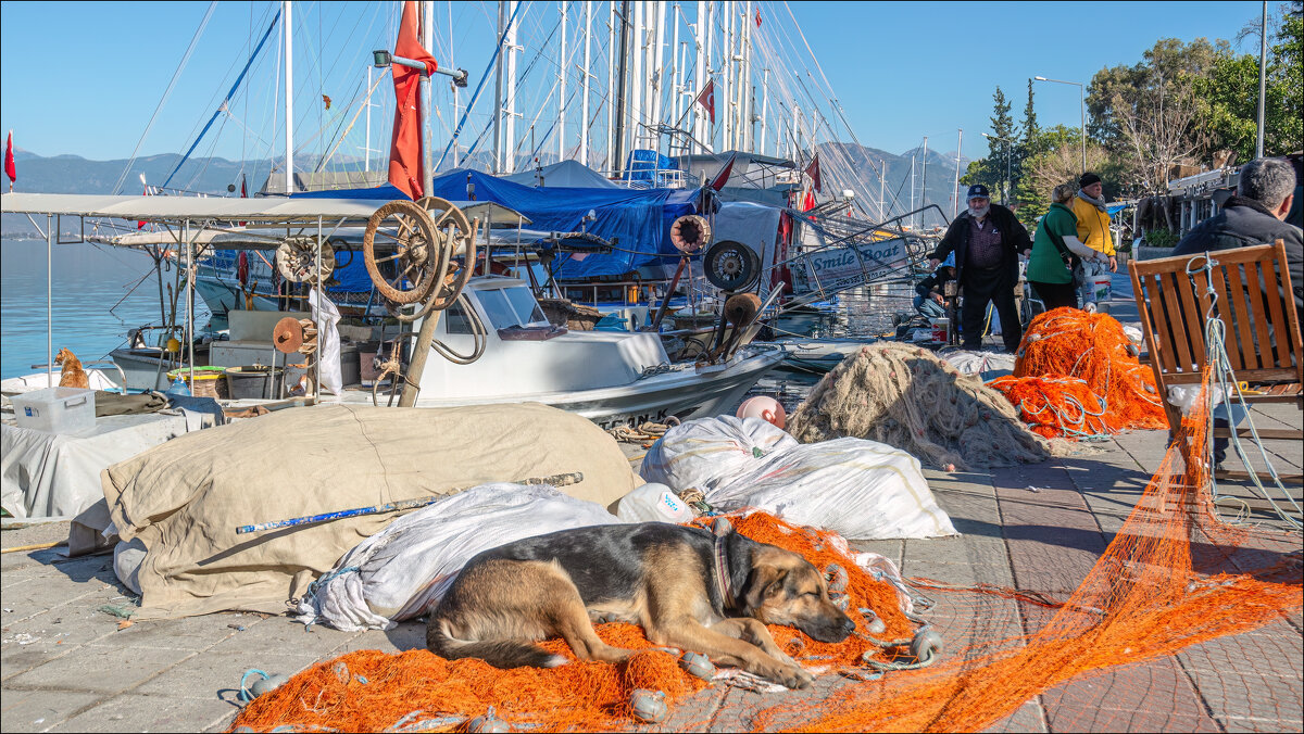 Фетхие, порт - **** vedin