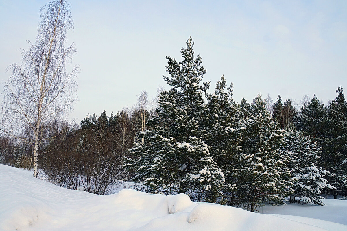 Зимой по дороге - Галина Кан