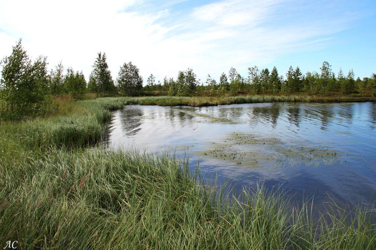 Водоёмы Сургутского района (серия) - Любовь Сахарова