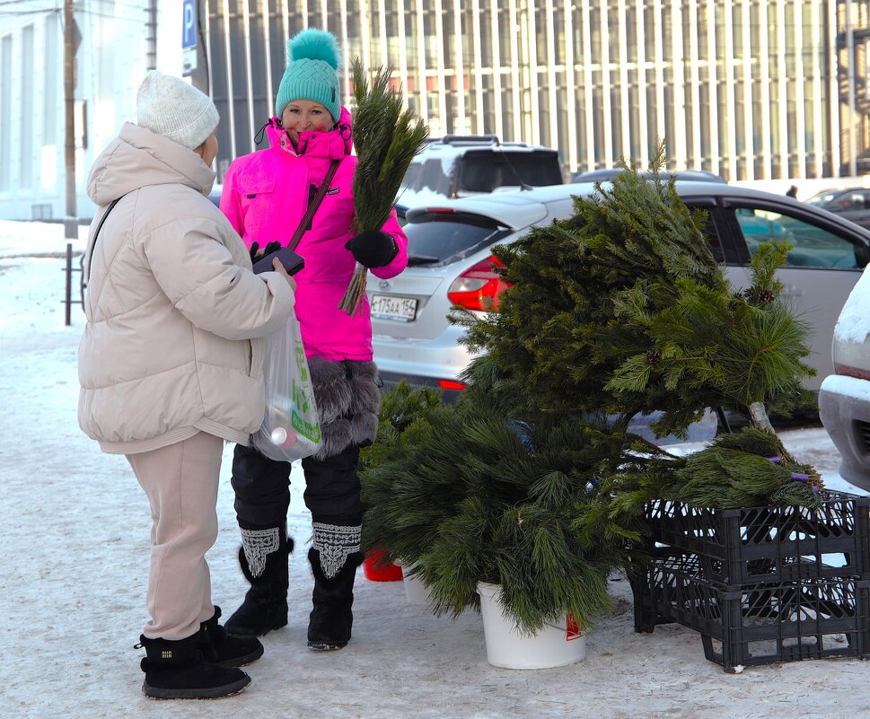 Уличная продавщица - Василий 