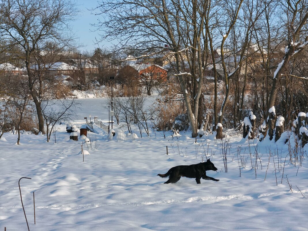 *** - Валерий Ткаченко
