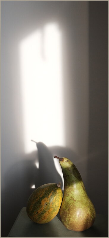 Свет и линия. Холодный свет января - Алексей Хвастунов