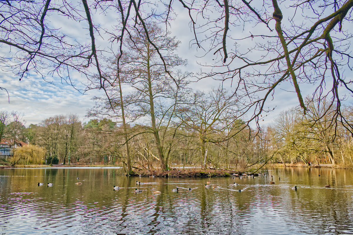 Пруд - Jakob Dick