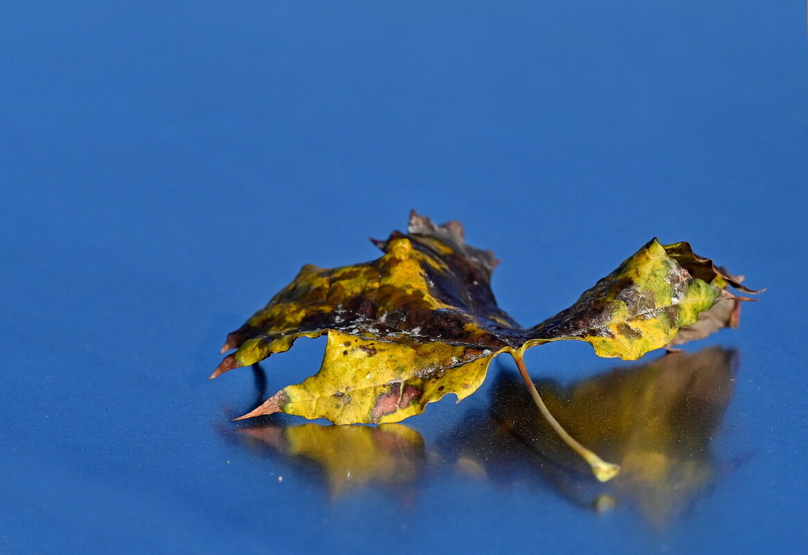 Про лист... - Николай Саржанов