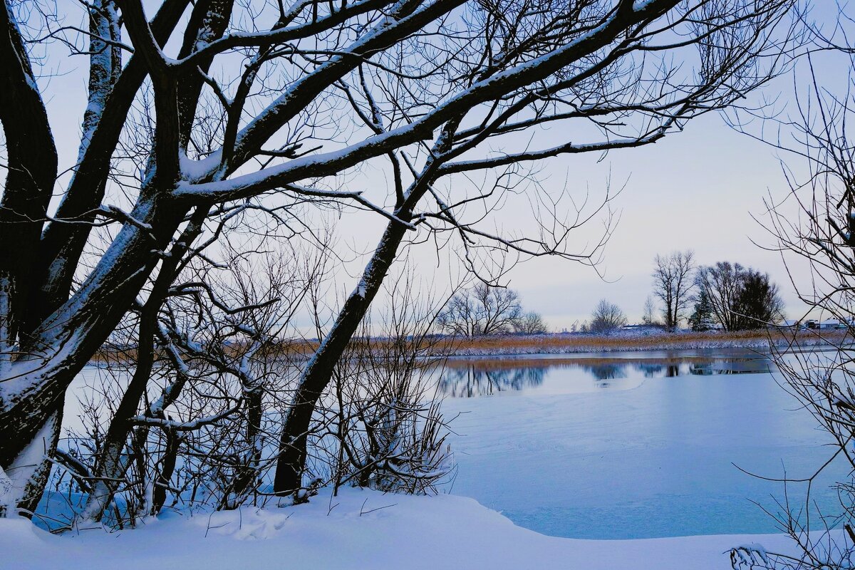 Калининградский залив и побережье - Рита Симонова