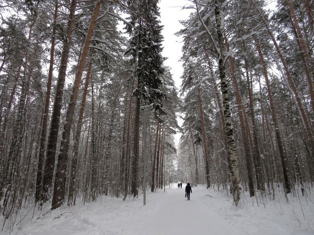 По аллеям парка - Лариса С.