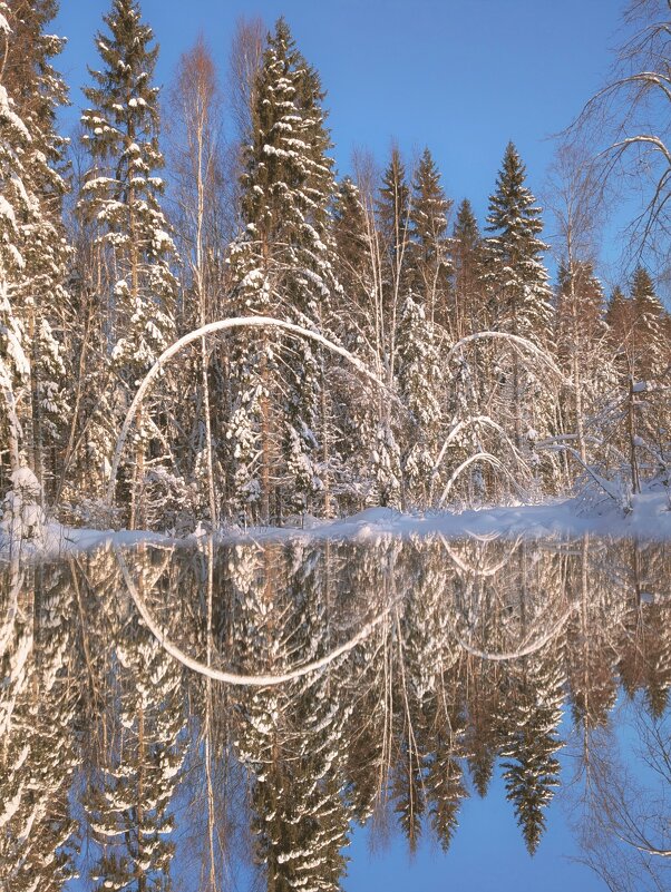 В чертогах января - liudmila drake