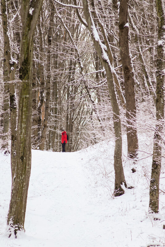 No name - Александр Алексеев