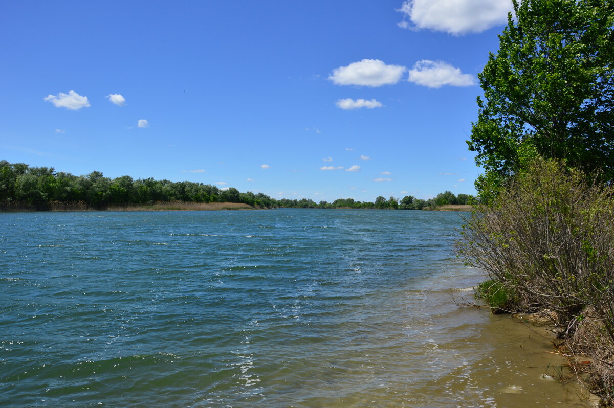 У реки. - Виктор 