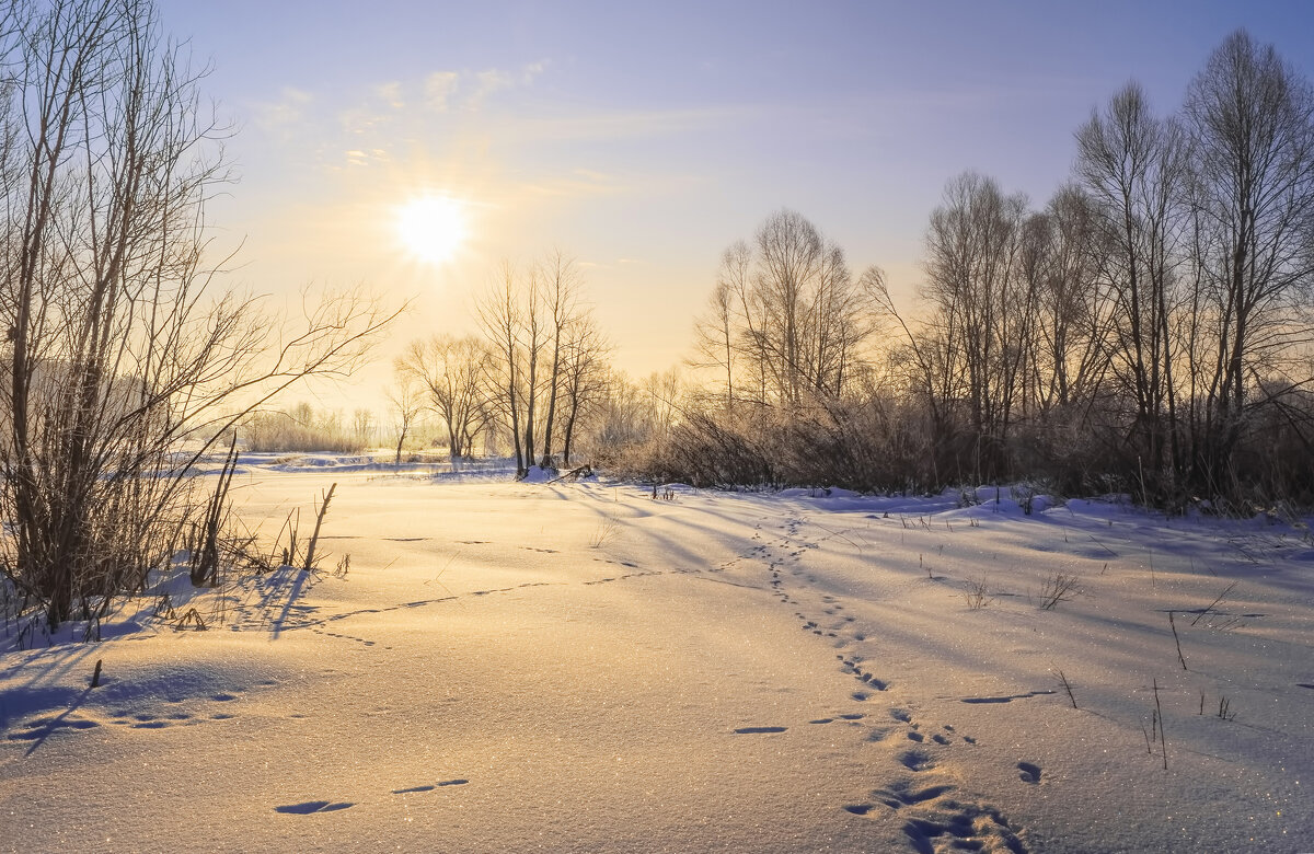 Морозная пастель - Валерий VRN