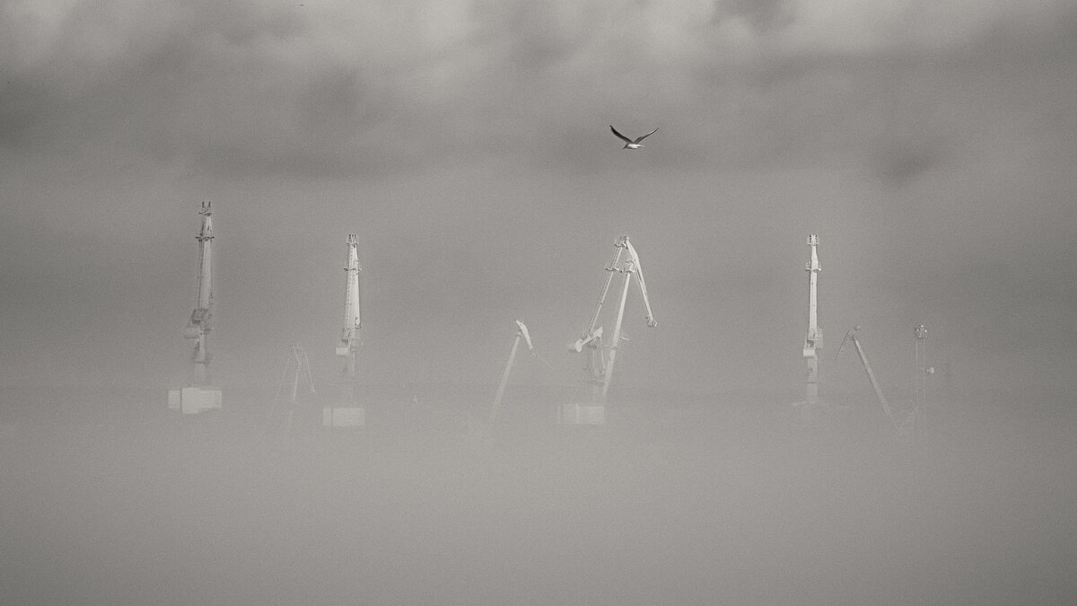 Тумана зимнего визит. - Анатолий Щербак