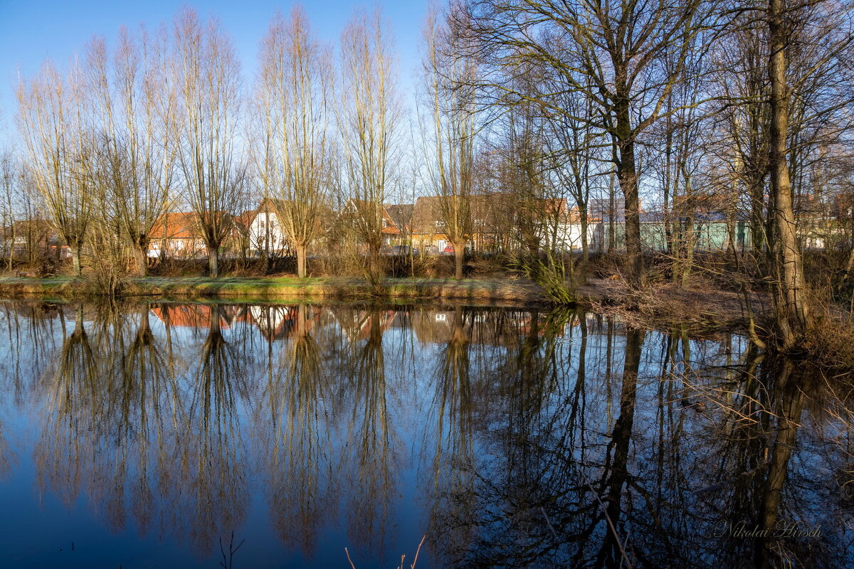 *** - Николай Гирш