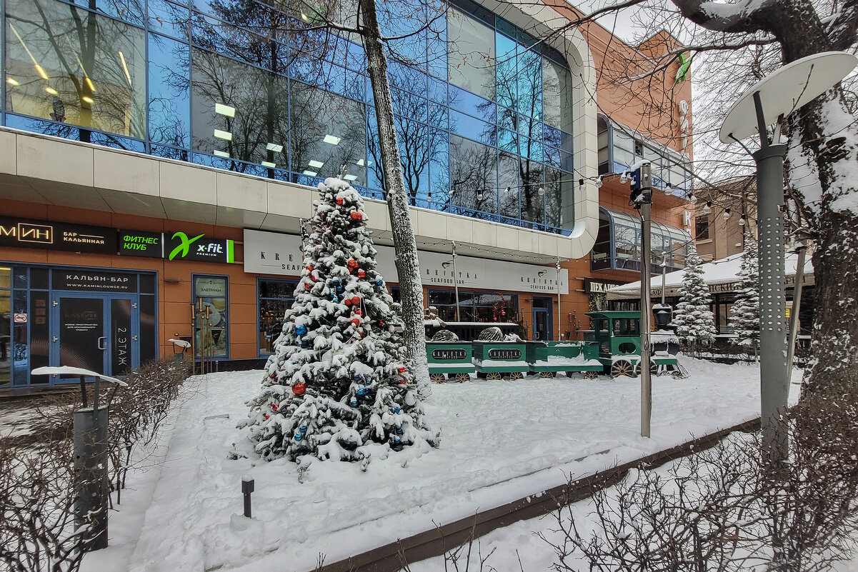 Зима должна быть пушистой - Татьяна Машошина