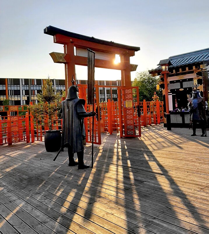 Вечерние тени - Ирина Via