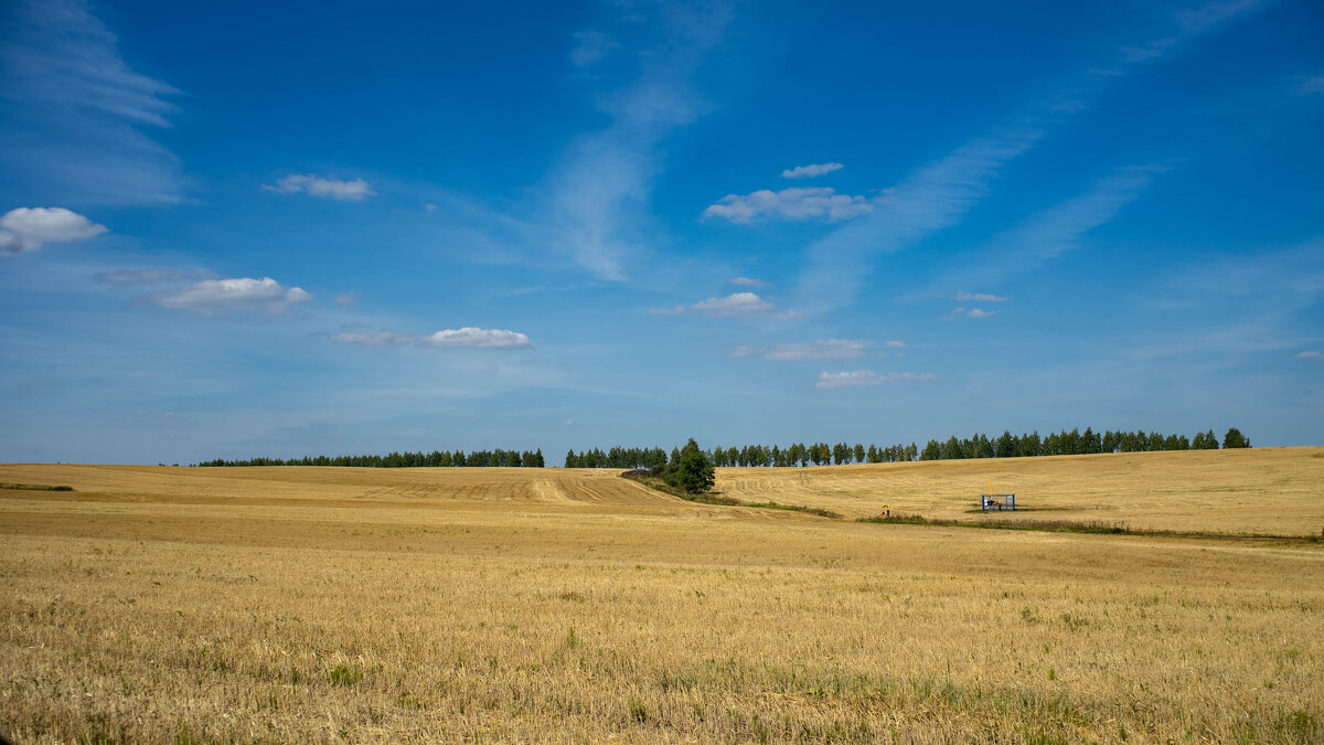 Просто пейзаж - Владимир Иванович