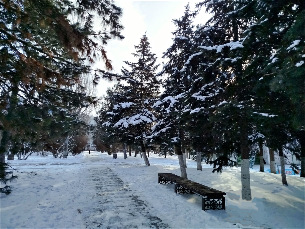 Зимний парк! - Надежда 