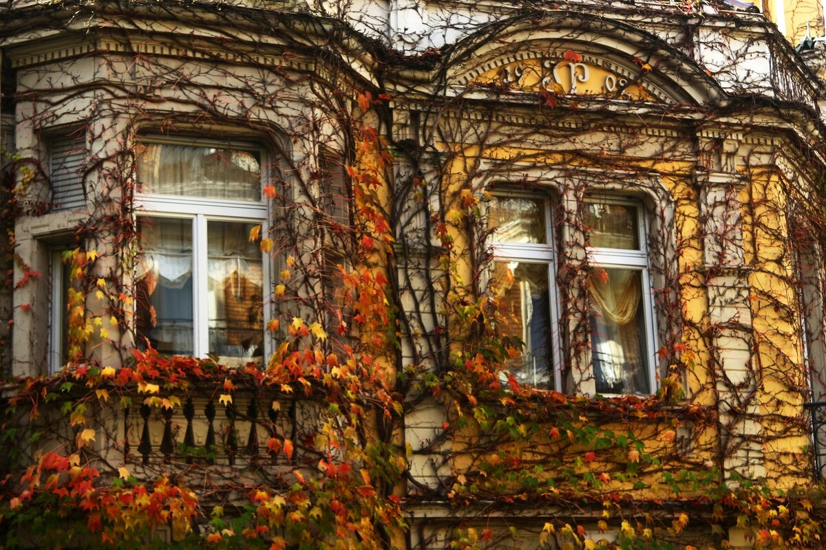 Дом - Юрий. Шмаков