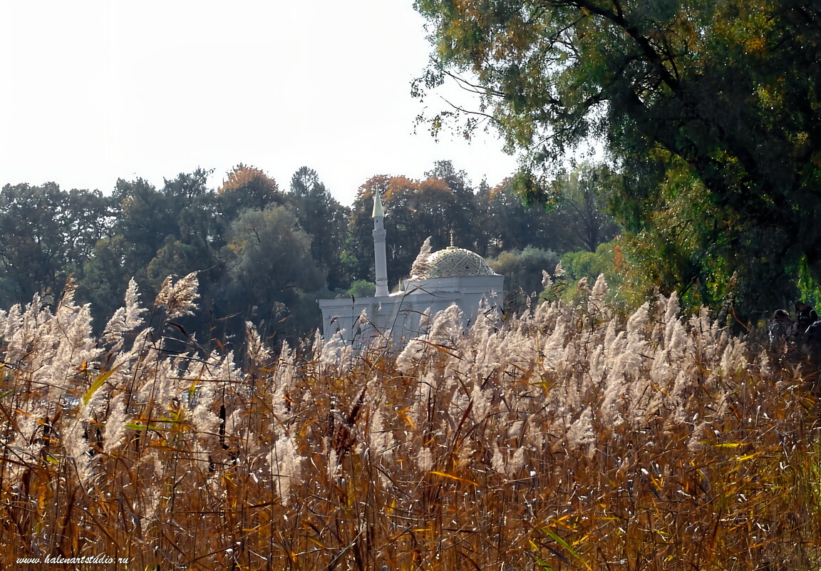 Екатерининский парк - Игорь Корф