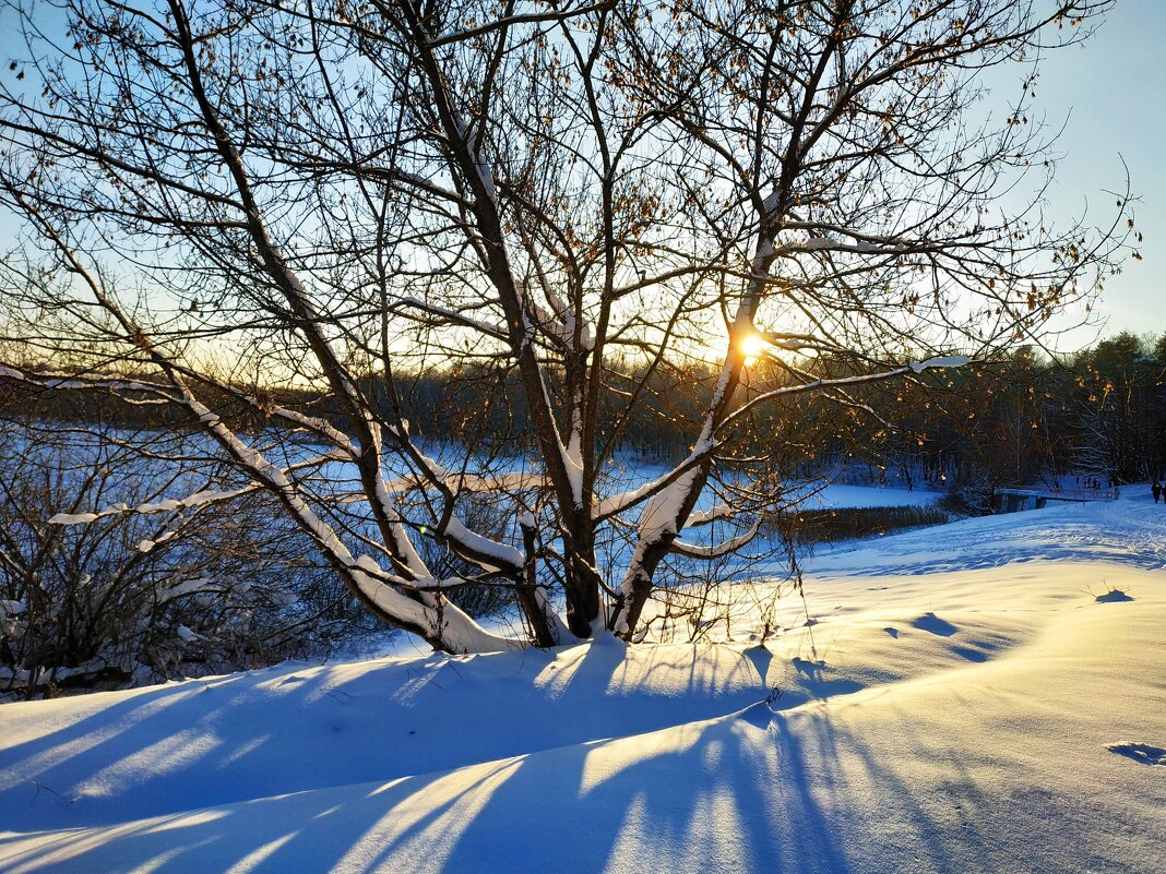 мой Крещенский сочельник - Андрей Лукьянов