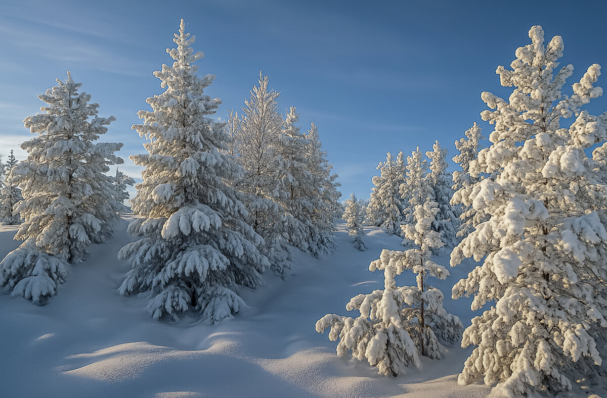 *** - Aleksey Afonin