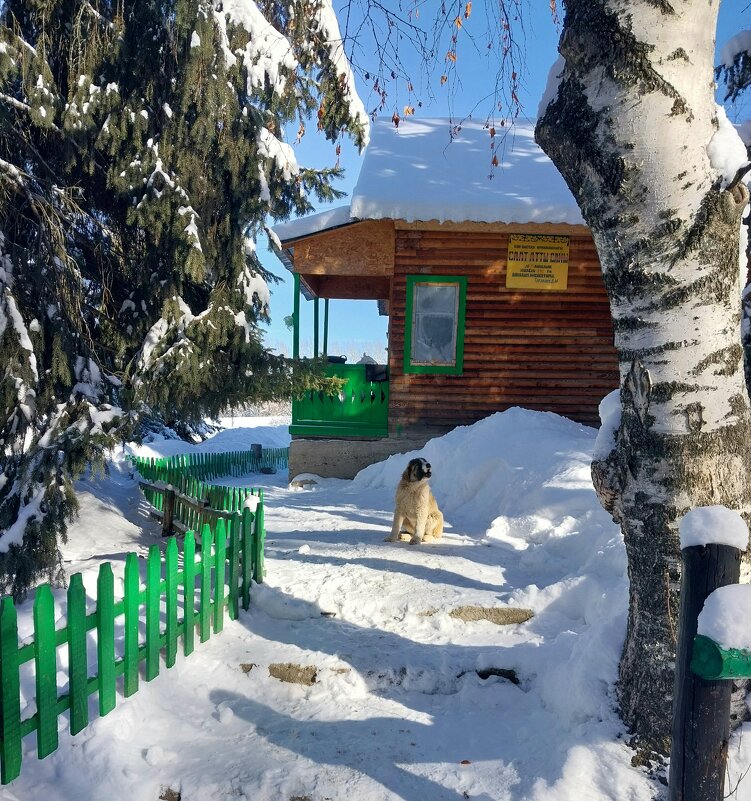 Talgar.. - Murat Bukaev 