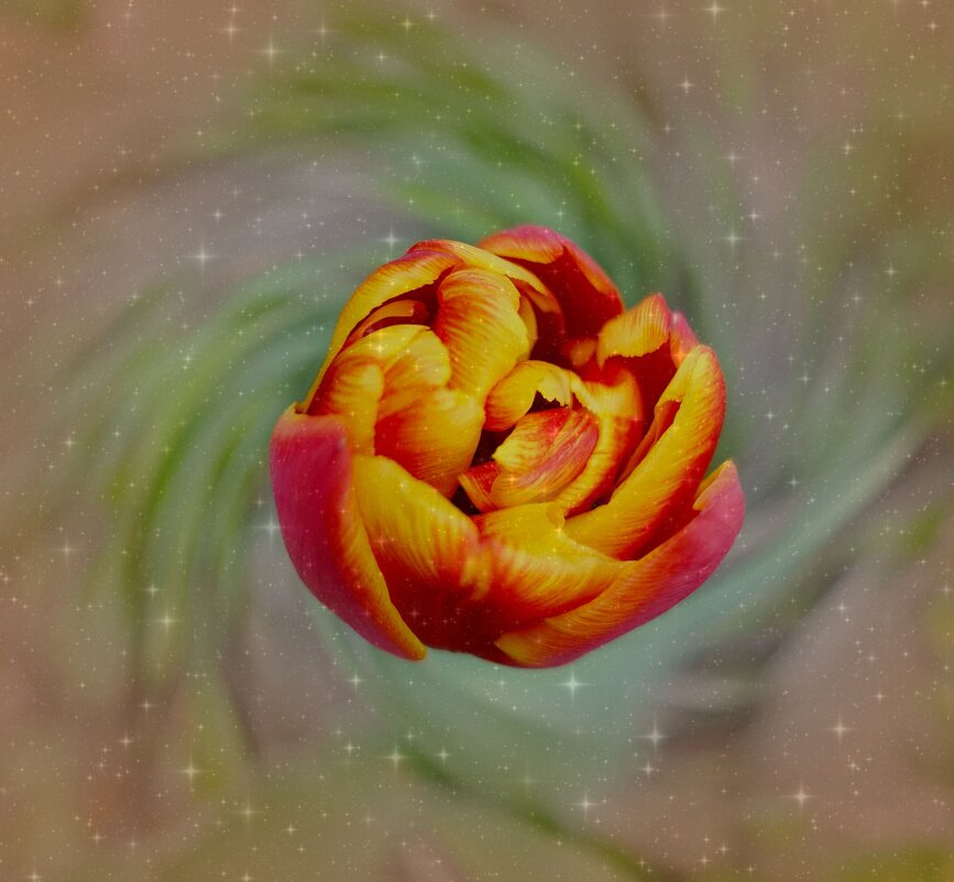 Галактика на Земле. - Марина Леонидовна