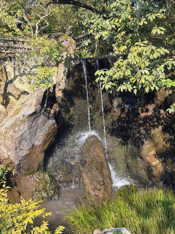 Уголок японский... - Георгиевич 