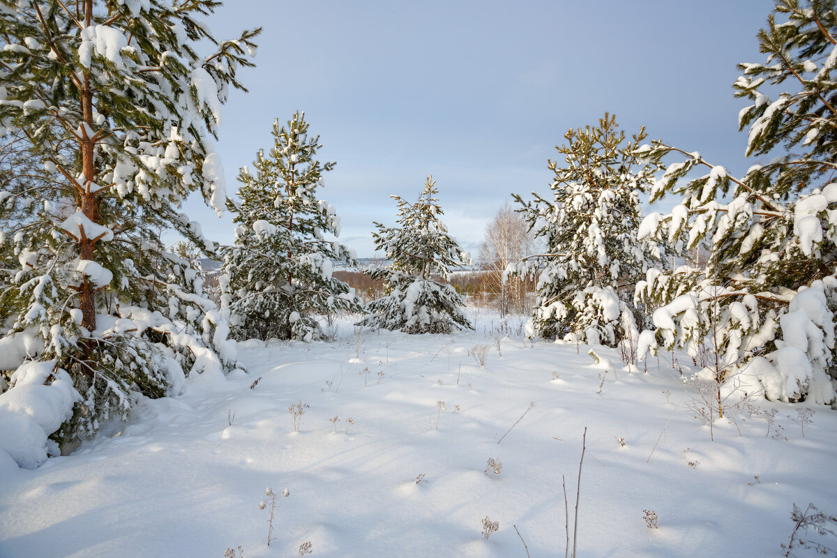 Хоровод - NikitinAleks 