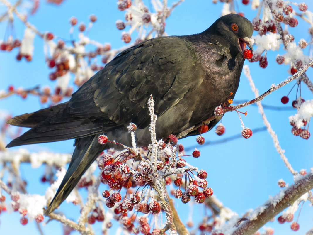 *   *   * - Уже не важно 