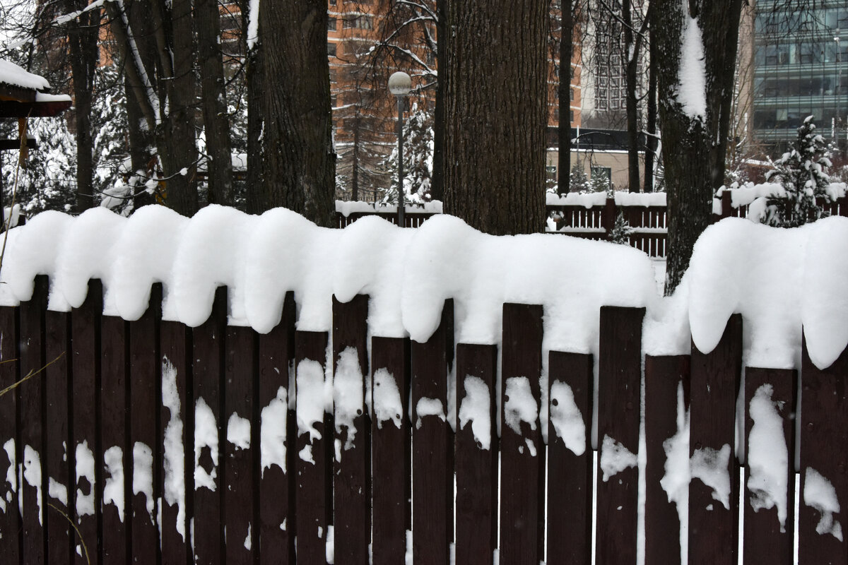 Москва. Воронцовский парк. - Наташа *****
