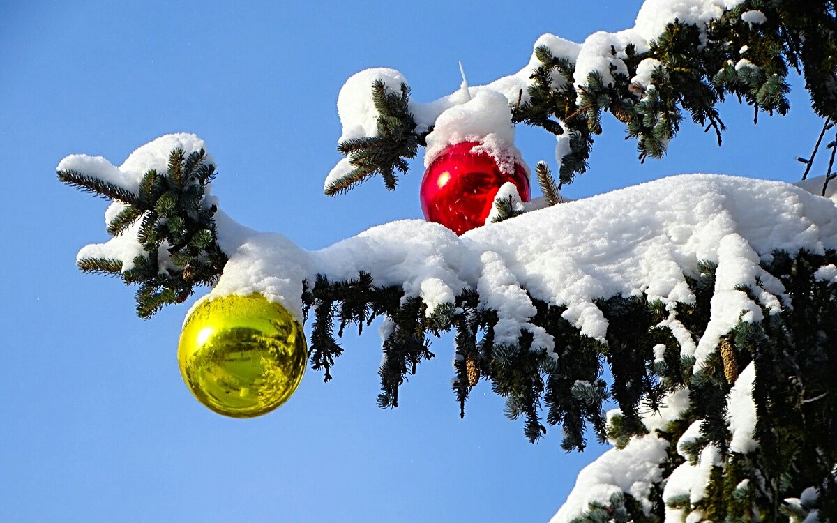 Напоминание о минувшем празднике. - Милешкин Владимир Алексеевич 