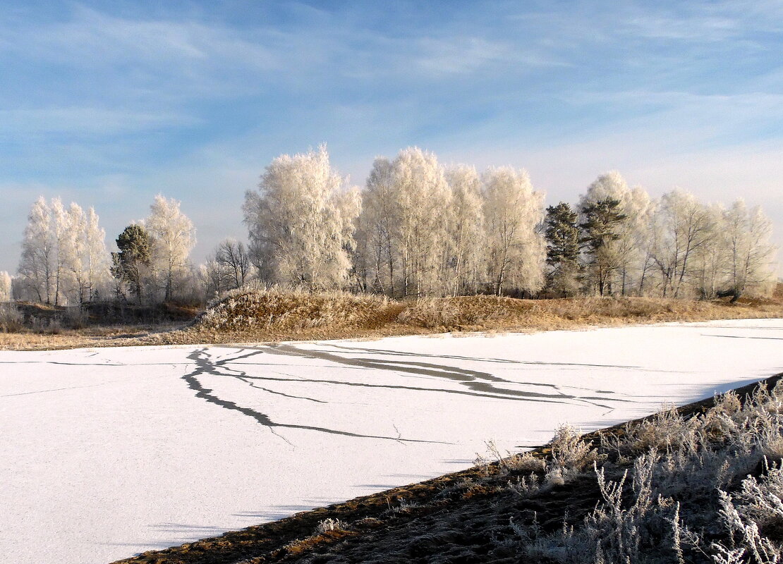 У замёрзшего озера. - nadyasilyuk Вознюк