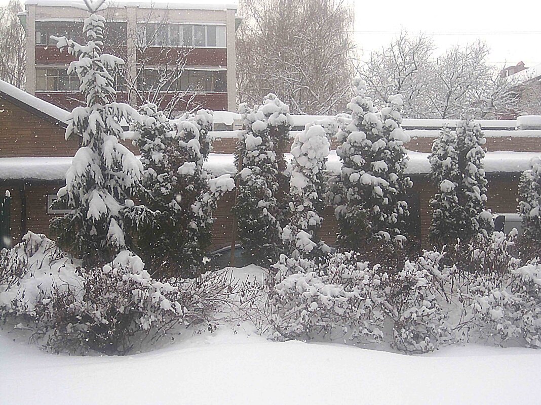 Зимнее - Елена Семигина