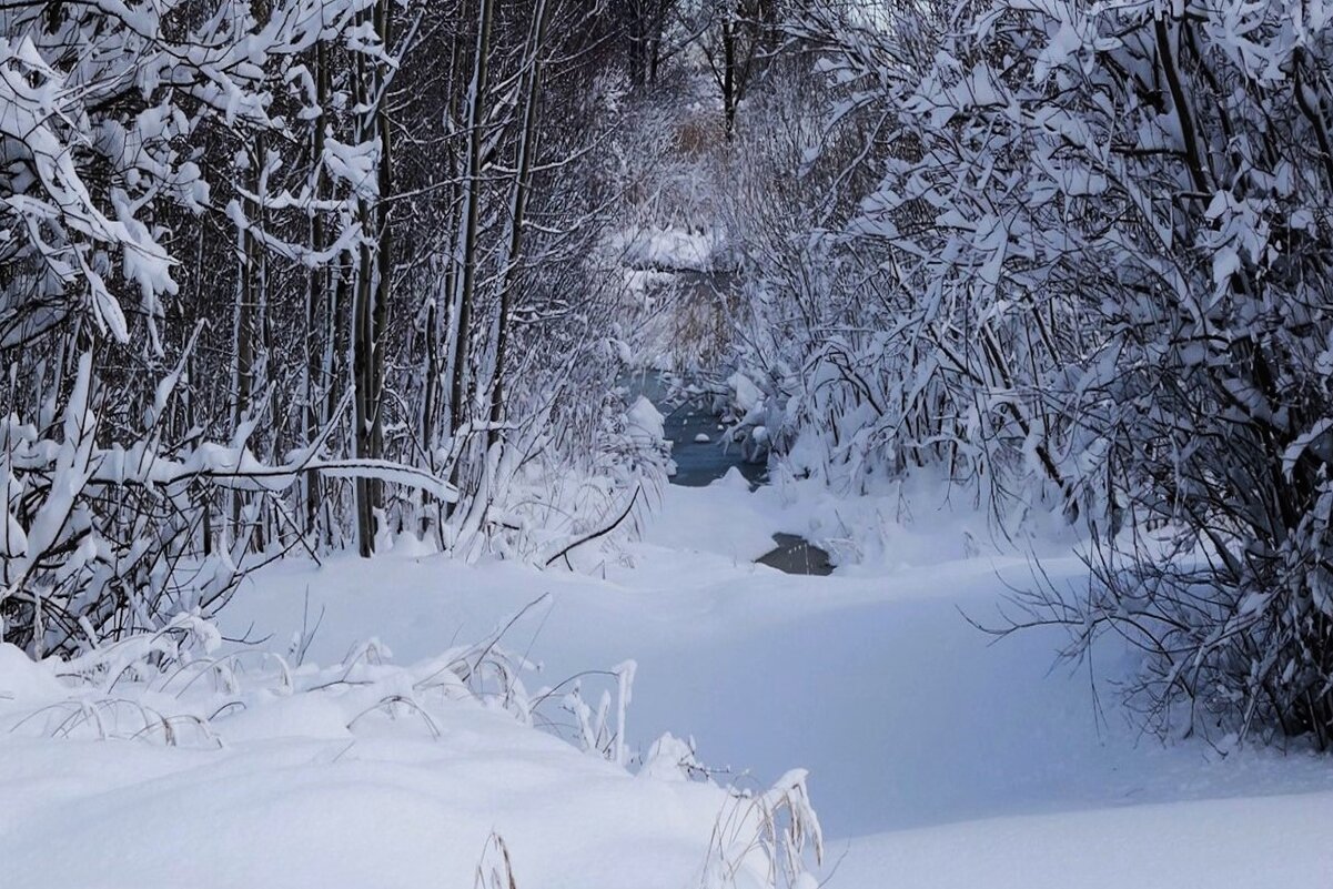 Зимние зарисовки - Рита Симонова
