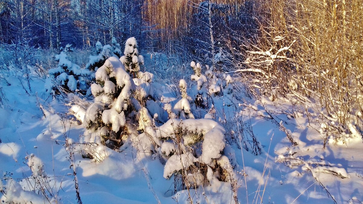 я на солнышко гляжу - Владимир 