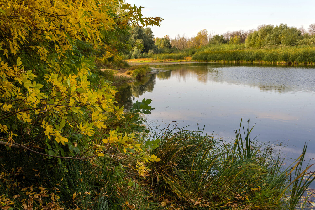 Про осень - Владимир Жуков