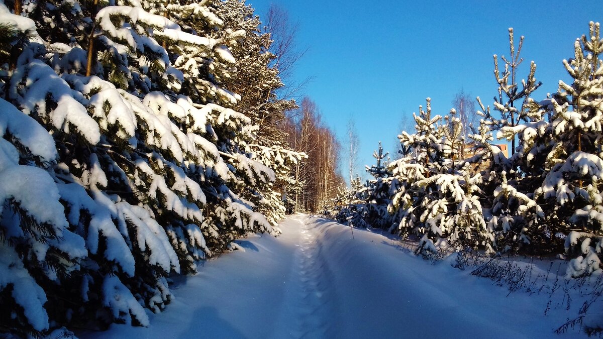 на солнечной поляночки - Владимир 