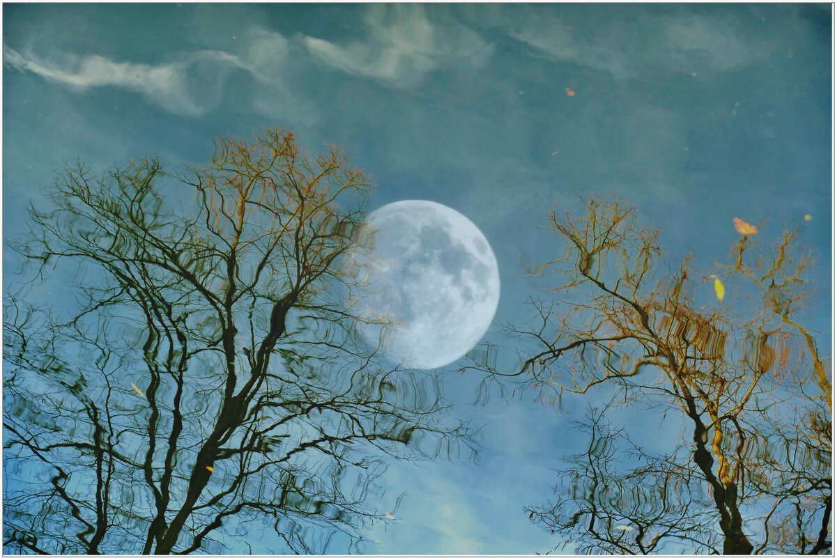 ЛУНА... - Elvira E. 