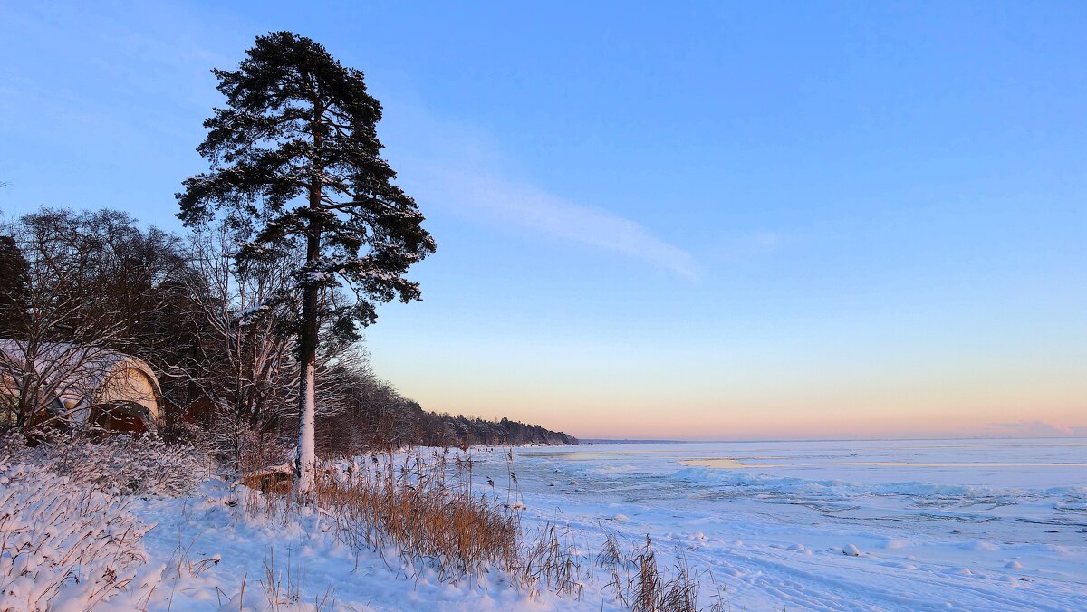 На берегу Финского залива... - Sergey Gordoff