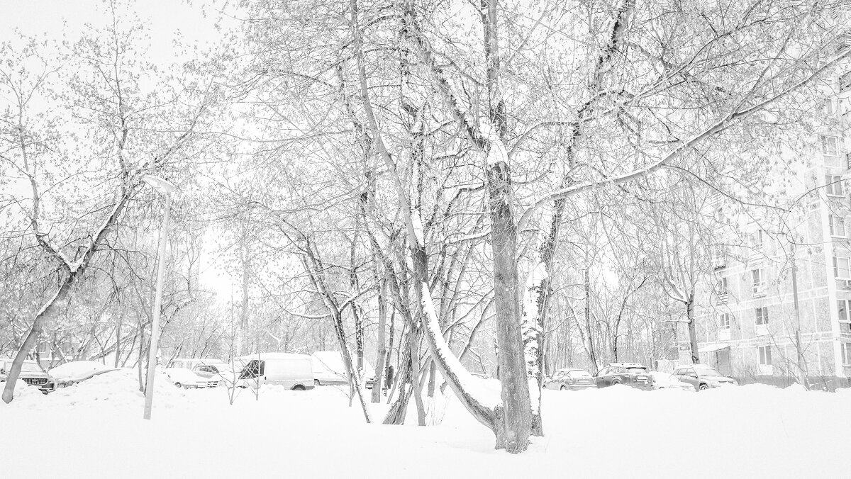 ***** - юрий поляков